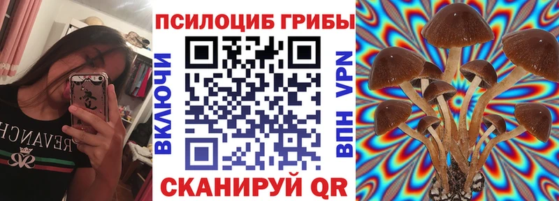 Купить где  Советский  Галлюциногенные грибы Psilocybe 